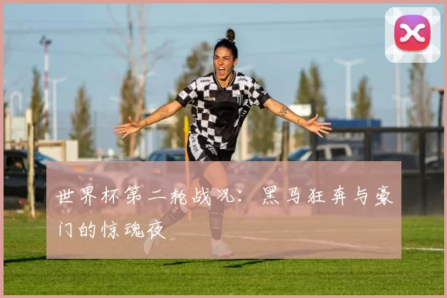 世界杯第二轮战况:黑马狂奔与豪门的惊魂夜