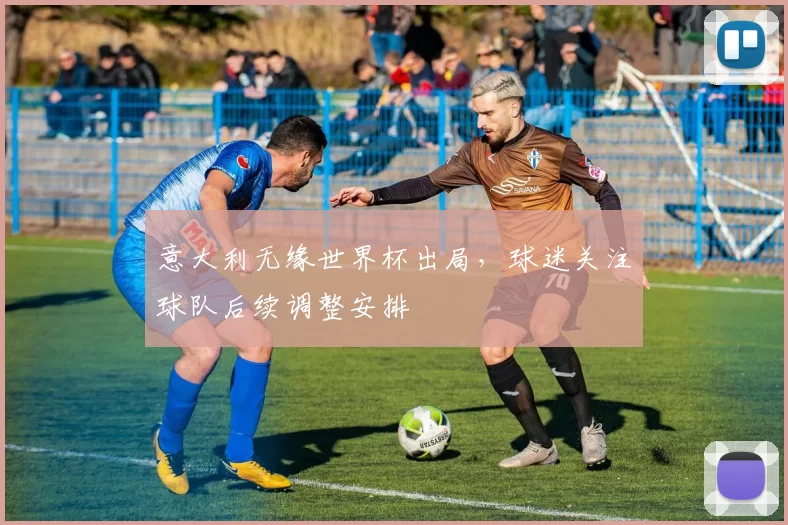 意大利无缘世界杯出局,球迷关注球队后续调整安排