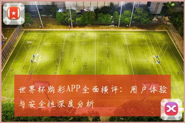 世界杯购彩APP全面横评：用户体验与安全性深度分析
