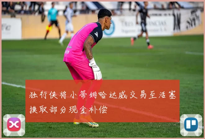 独行侠将小蒂姆哈达威交易至活塞换取部分现金补偿