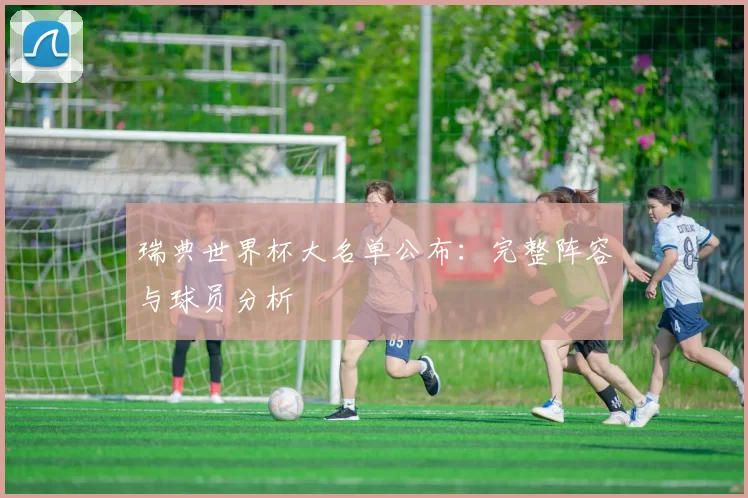 瑞典世界杯大名单公布:完整阵容与球员分析
