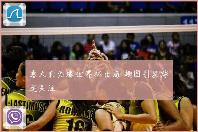 意大利无缘世界杯出局 趣图引发球迷关注