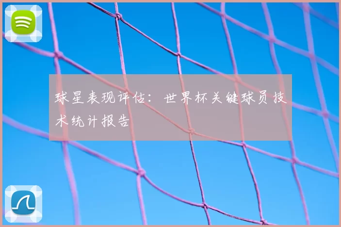 球星表现评估:世界杯关键球员技术统计报告