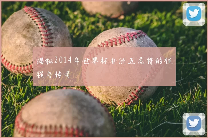 揭秘2014年世界杯非洲五虎将的征程与传奇